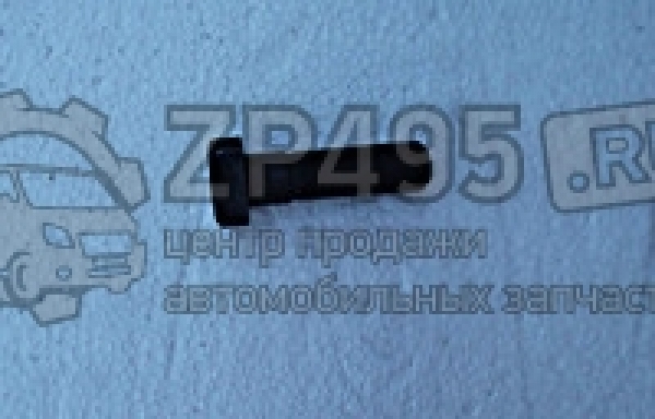 : 6501404 0014649     /   31105 . (, ,,,,, , NEXT, NEXT) ufa.zp495.ru